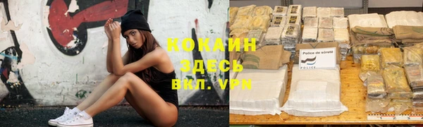 эйфоретик Аркадак
