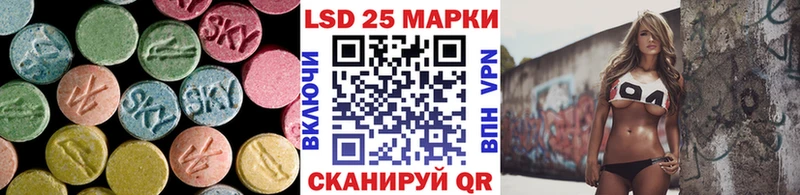 блэк спрут как зайти  Сясьстрой  ЛСД экстази кислота 
