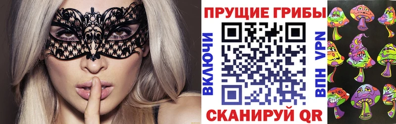 Псилоцибиновые грибы прущие грибы  сколько стоит  Сясьстрой 